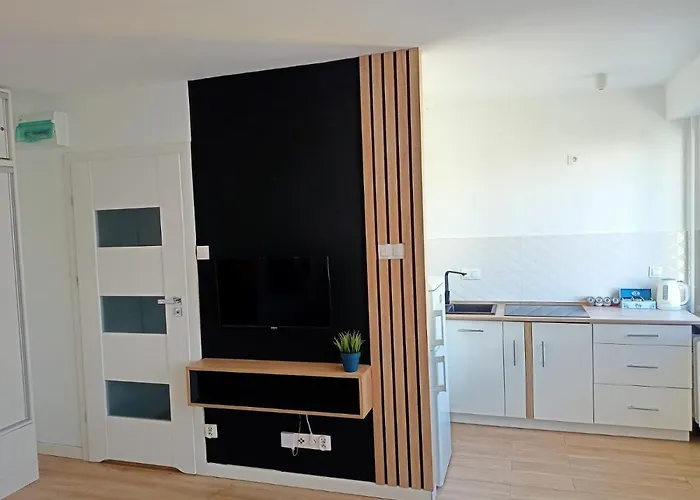 Apartament Torun Dreams
