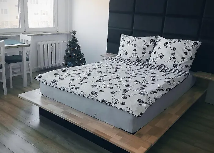 Apartament Torun Dreams